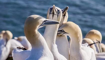 九游会j9官网真人游戏第一品牌🏀哈登26+11 祖巴茨21+20 希罗32+11 快船第三节爆发逆转热火