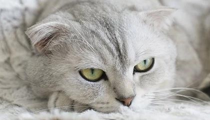 j9九游真人游戏第一平台王曦雨直落两盘晋级法网女单资格赛决胜轮,将与谢拉争夺正赛席位