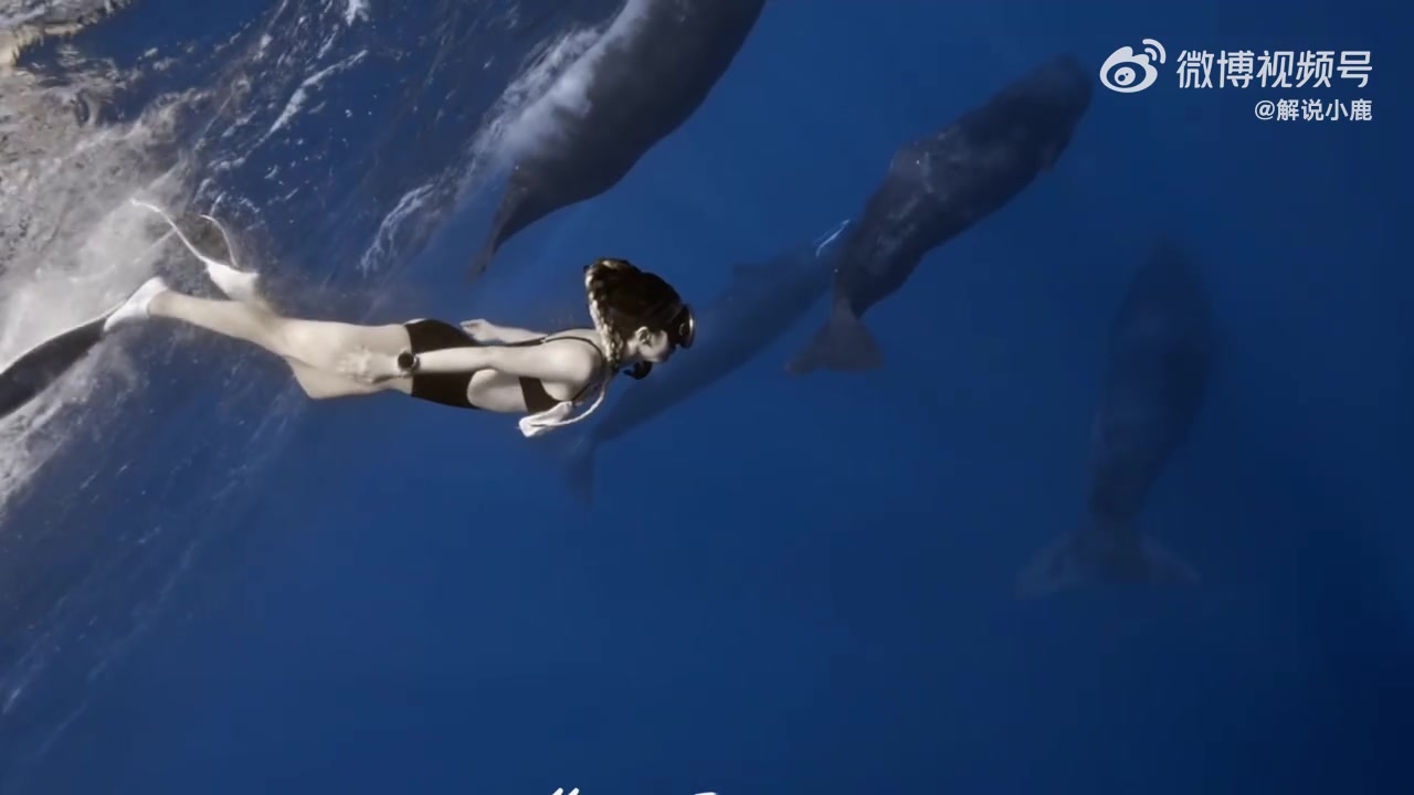 j9九游会老哥俱乐部交流KPL女解说小鹿分享比基尼潜水视频：遇到抹香鲸🐋震撼无法形容